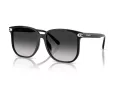 Coach Cw419 Sonnenbrille HC 8413BD 50023C