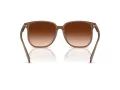 Coach Cw419 Sonnenbrille HC 8413BD 580874