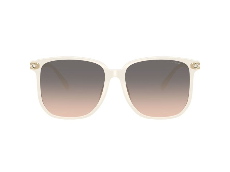 Coach Cw419 Sonnenbrille HC 8413BD 5853G9