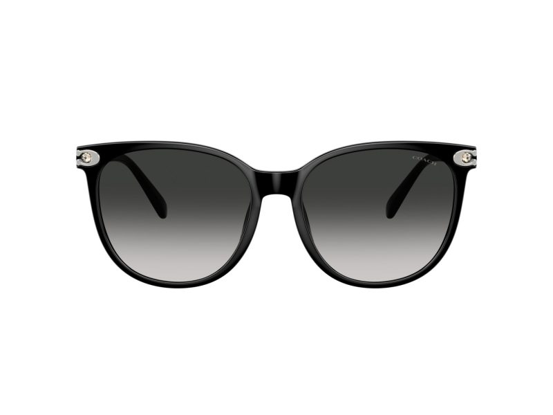 Coach Cw428 Sonnenbrille HC 8414BD 50023C