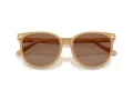 Coach Cw428 Sonnenbrille HC 8414BD 585473
