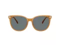 Coach Cw428 Sonnenbrille HC 8414BD 585580