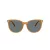 Coach Cw428 Sonnenbrille HC 8414BD 585580
