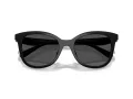 Coach Cad25 Sonnenbrille HC 8419U 500287