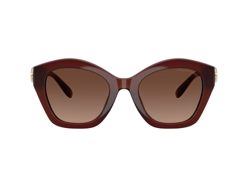 Coach Cad31 Sonnenbrille HC 8421U 5841T5