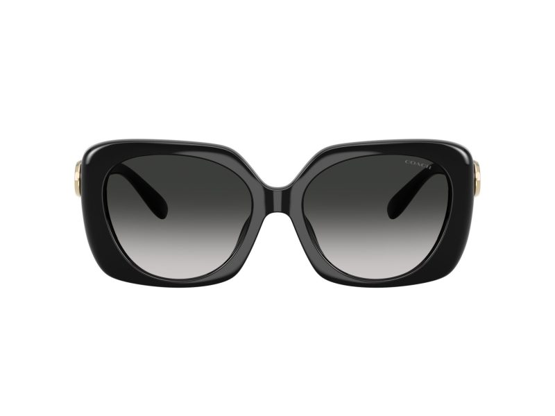 Coach Cad33 Sonnenbrille HC 8422U 50023C