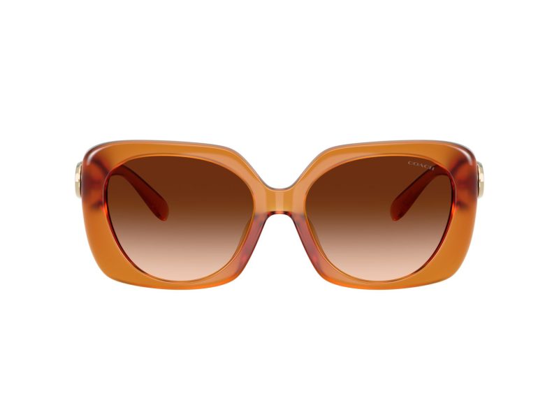 Coach Cad33 Sonnenbrille HC 8422U 564774