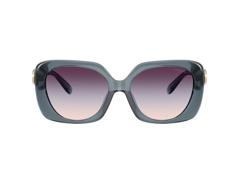 Coach Cad33 Sonnenbrille HC 8422U 5871U7