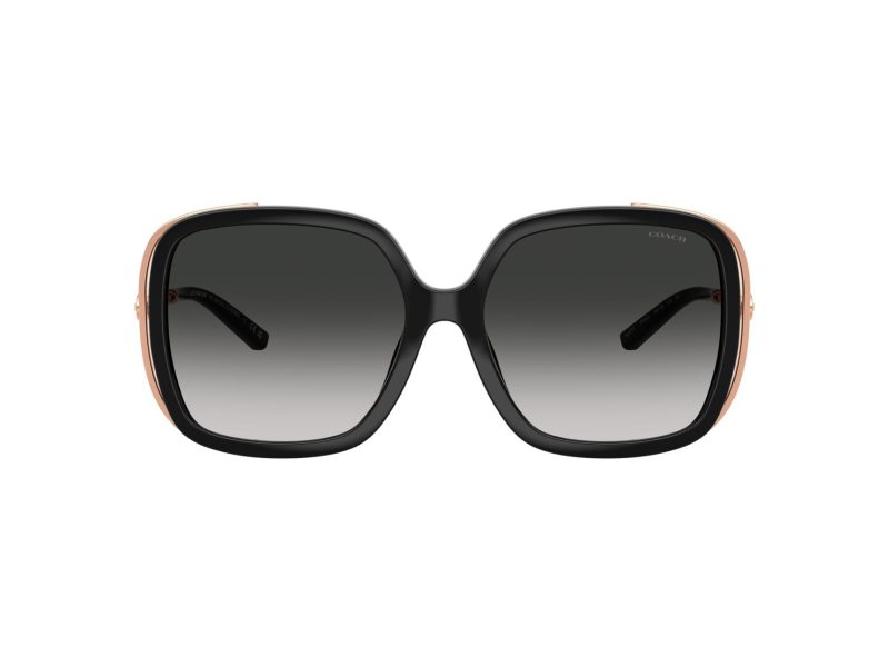 Coach Cad80 Sonnenbrille HC 8423U 50023C