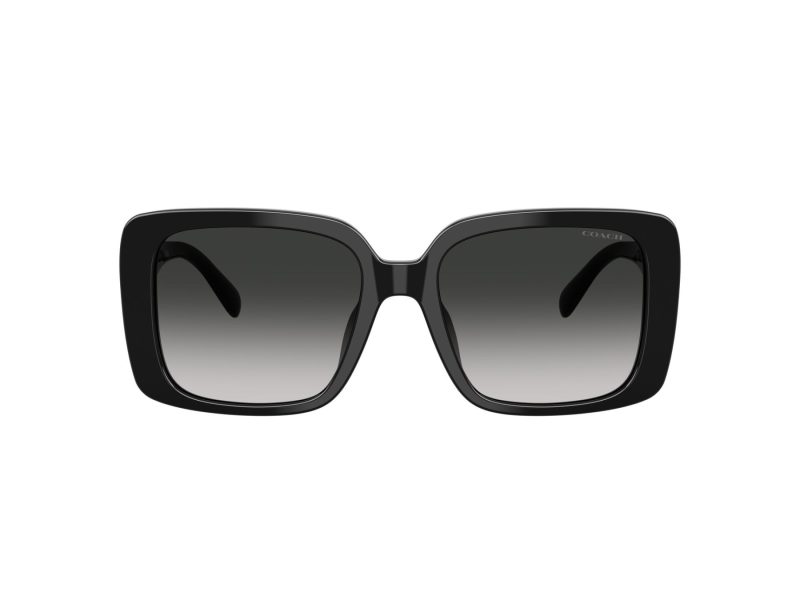 Coach Cad54 Sonnenbrille HC 8424U 50023C