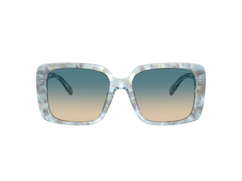 Coach Cad54 Sonnenbrille HC 8424U 58664M