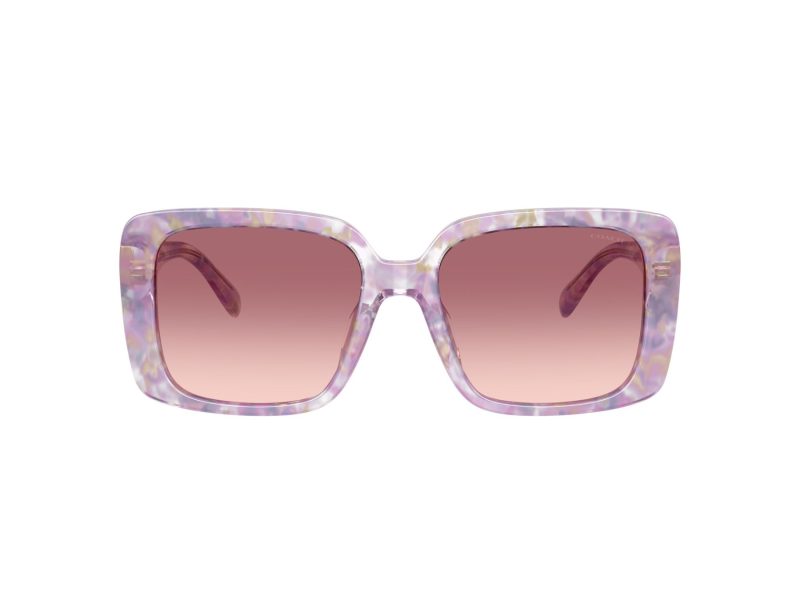 Coach Cad54 Sonnenbrille HC 8424U 58677W