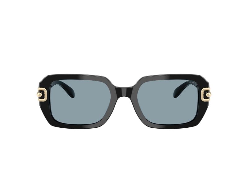 Coach Cad74 Sonnenbrille HC 8425U 500272