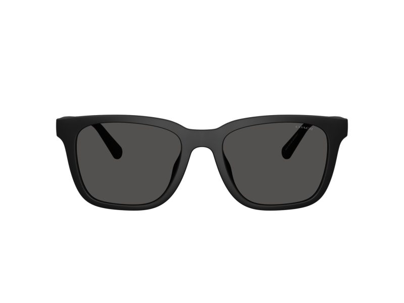 Coach Cad81 Sonnenbrille HC 8426U 500287