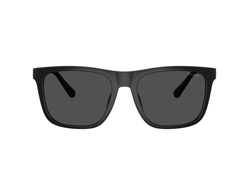 Coach Cae78 Sonnenbrille HC 8427U 500287