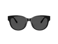 Coach Cae87 Sonnenbrille HC 8430D 500287
