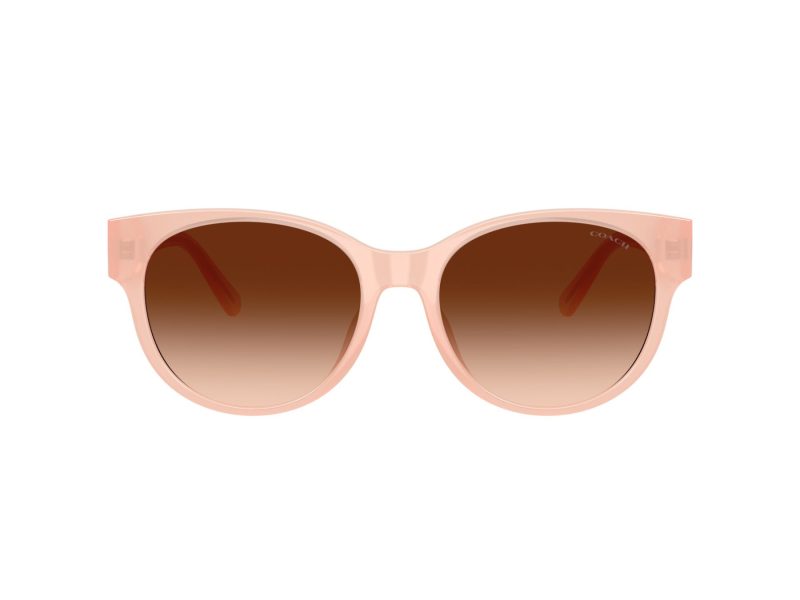 Coach Cae87 Sonnenbrille HC 8430D 511374