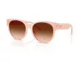 Coach Cae87 Sonnenbrille HC 8430D 511374