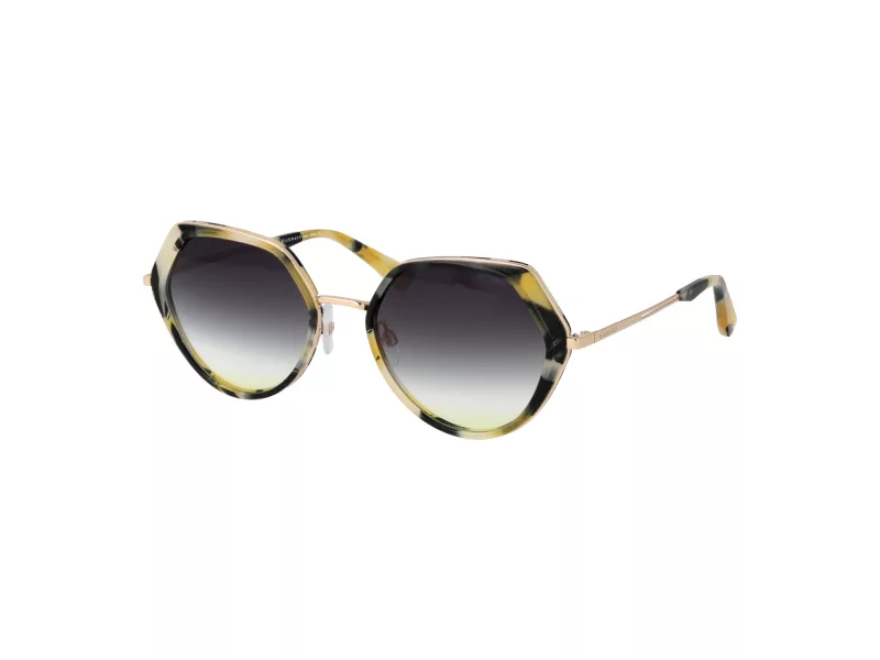 Ana Hickmann Sonnenbrille HI 3199 G21