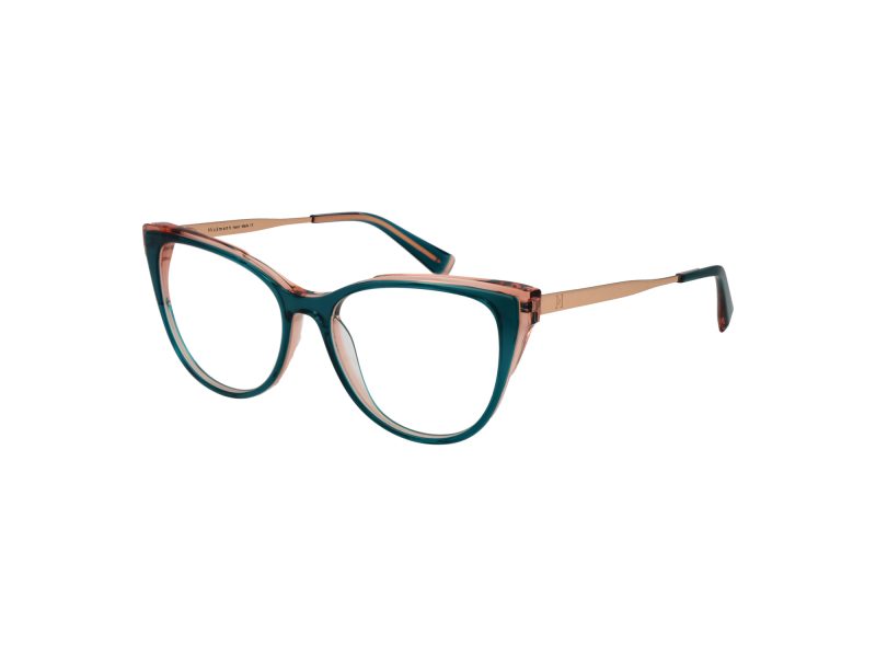 Ana Hickmann Brillen HI 6279 H02