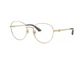 Jimmy Choo Brillen JC 2004HB 3006 52