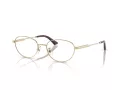 Jimmy Choo Brillen JC 2009D 3006