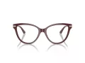 Jimmy Choo Brillen JC 3001B 5018