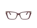 Jimmy Choo Brillen JC 3002B 5018