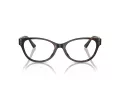 Jimmy Choo Brillen JC 3003BU 5002 52