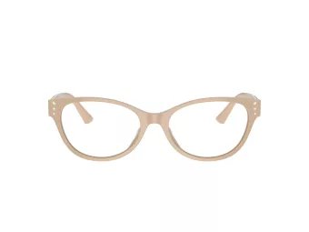 Jimmy Choo Brillen JC 3003BU 5015 52