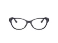 Jimmy Choo Brillen JC 3003BU 5016 54