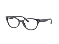 Jimmy Choo Brillen JC 3003BU 5016 54