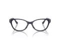 Jimmy Choo Brillen JC 3003BU 5016 54
