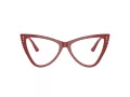 Jimmy Choo Brillen JC 3004B 5013 54