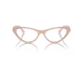 Jimmy Choo Brillen JC 3005 5014 53