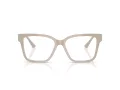Jimmy Choo Brillen JC 3006U 5033 53