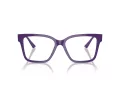 Jimmy Choo Brillen JC 3006U 5050 53