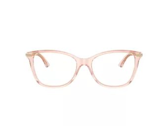 Jimmy Choo Brillen JC 3007HB 5034 54