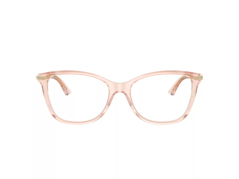 Jimmy Choo Brillen JC 3007HB 5034 54
