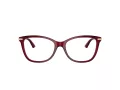Jimmy Choo Brillen JC 3007HB 5062 52
