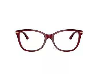 Jimmy Choo Brillen JC 3007HB 5062 54