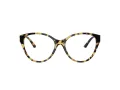 Jimmy Choo Brillen JC 3009 5004 52