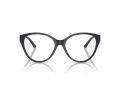 Jimmy Choo Brillen JC 3009 5016