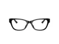 Jimmy Choo Brillen JC 3010U 5000 54