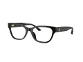 Jimmy Choo Brillen JC 3010U 5000 54