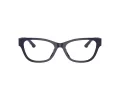 Jimmy Choo Brillen JC 3010U 5016 52