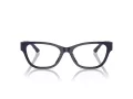 Jimmy Choo Brillen JC 3010U 5016 52