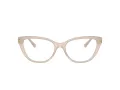 Jimmy Choo Brillen JC 3011 5025 54