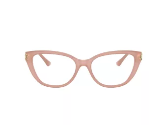 Jimmy Choo Brillen JC 3011 5027 54