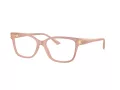 Jimmy Choo Brillen JC 3012 5027 53